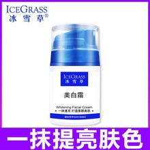 冰雪草乳液/面霜美白，滋潤，保濕，補水