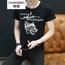 暢登（CHANGDENG） 短袖 男士T恤 戰(zhàn)狼黑色 