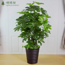 田園風(fēng)仿真花，打造溫馨生活的家