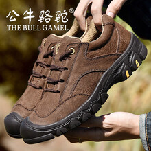 公牛駱駝（THE BULL CAMEL）男士棕色 44