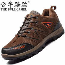 公牛駱駝（THE BULL CAMEL）男士PT2129棕色 41