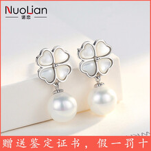 怎么樣,耳環(huán),耳墜,貝殼,貝殼,耳環(huán),耳墜