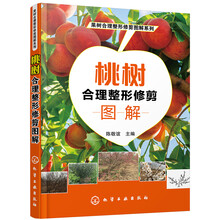 果樹修剪