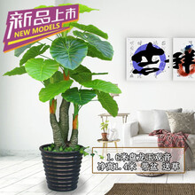 歐式客廳擺件，裝點(diǎn)你的家居生活