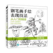 鋼筆畫入門