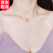 締晶項(xiàng)鏈21-50cm