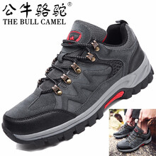 公牛駱駝（THE BULL CAMEL）男士X699灰紅 43