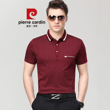 皮爾卡丹（pierrecardin） 短袖 男士T恤 棗紅8173 