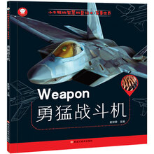 戰(zhàn)斗機(jī)