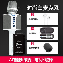 屁顛蟲（Hifier）  手持 麥克風(fēng) 時(shí)尚白+電視K歌棒