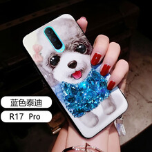 皇導(dǎo)（HUANGDAO） OPPO R17 Pro 手機(jī)殼/保護(hù)套
