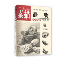 素描實(shí)用教程