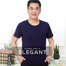 伯樂虎（Bolehu） 短袖 男士T恤 藍(lán)色 