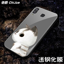 加白貓