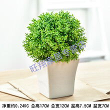 簡(jiǎn)約花瓶，裝點(diǎn)你的生活藝術(shù)感