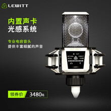 萊維特（LEWITT） DGT 260 白雪公主 支撐式 麥克風(fēng) 白雪公主
