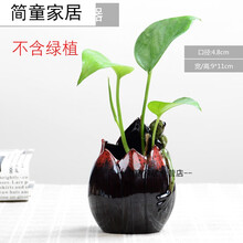 創(chuàng  )意陶瓷擺件，打造精致客廳