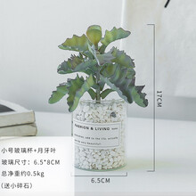歐式玻璃花瓶，讓你的家四季如春