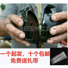 唯美仿真花，讓你的家四季如春
