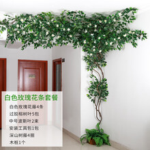 北歐風(fēng)花瓶，打造精致的家居生活