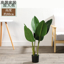 精美的花瓶，讓你愛上田園風(fēng)