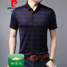 皮爾卡丹（pierrecardin） 短袖 男士T恤 寶石蘭 