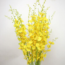 簡約花瓶，打造精致生活的藝術(shù)