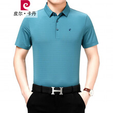 皮爾卡丹（pierrecardin） 短袖 男士T恤 款三湖蘭 