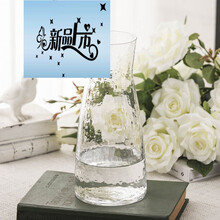 時(shí)尚玻璃花瓶，裝點(diǎn)你的藝術(shù)生活