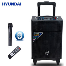 HYUNDAI VM-18 音箱/音響 VM-18+手麥