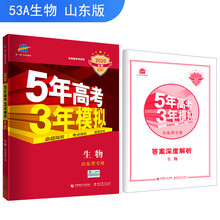 五三2020