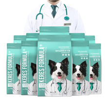 寵物狗牧羊犬