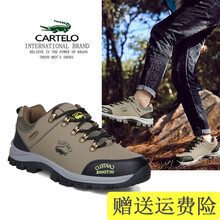 卡帝樂鱷魚（CARTELO）男士綠棕色 37