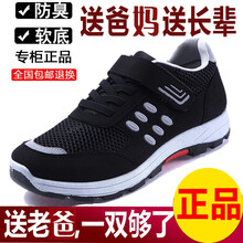 蓋世駝（GAISHITUO）男士黑色PT1827透氣款 40