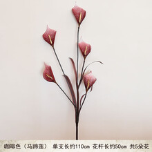 生態(tài)花瓶，營造浪漫田園風