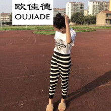 個(gè)性印花哈倫褲，微胖女生的福音