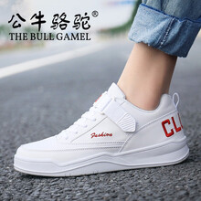 公牛駱駝（THE BULL CAMEL）男士白紅 41