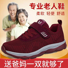 西域駱駝（VANCAMEL）男士6801棗紅色女款 