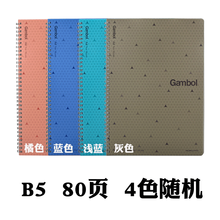 a6雙螺旋pp面本
