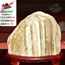 精美創(chuàng)意擺件，裝點(diǎn)生活藝術(shù)感