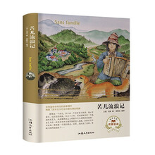苦兒流浪記