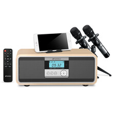 山水（SANSUI） T58 音箱/音響 T58-家居型木紋色雙嘜