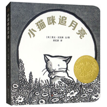 小貓咪追月亮