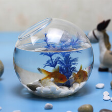 創(chuàng  )意透明玻璃擺件，讓生活更浪漫