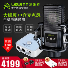 萊維特（LEWITT）  懸掛式 麥克風(fēng) 萊維特LCT450電容麥 (單品)