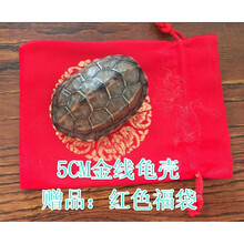 創(chuàng)意擺件，裝點(diǎn)你的家居小情調(diào)
