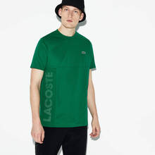 LACOSTE 短袖 男士T恤 9VQ綠 