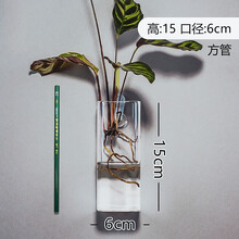 精美玻璃花瓶，讓生活更有韻味