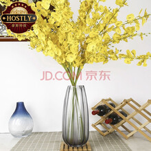 北歐風(fēng)玻璃花瓶，裝點你的生活