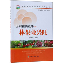 鄉(xiāng)村振興戰(zhàn)略